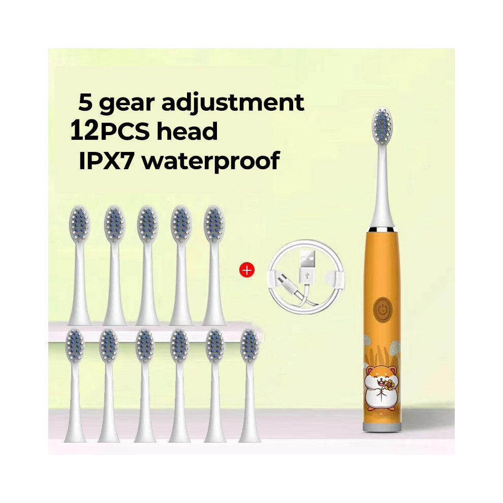 Orange ( 12 Heads) Sonic Electric Toothbrush For Children 12 Brush Heads Ultrasonic Rechargeable Timer