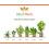 Hydrangea Anomala Petiolaris Climbing Hydrangea Pack of 3 2