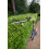 Ryobi Ryobi ONE+ 18V OPT1845 Cordless Pole Hedge Trimmer, 45cm Blade.. 3