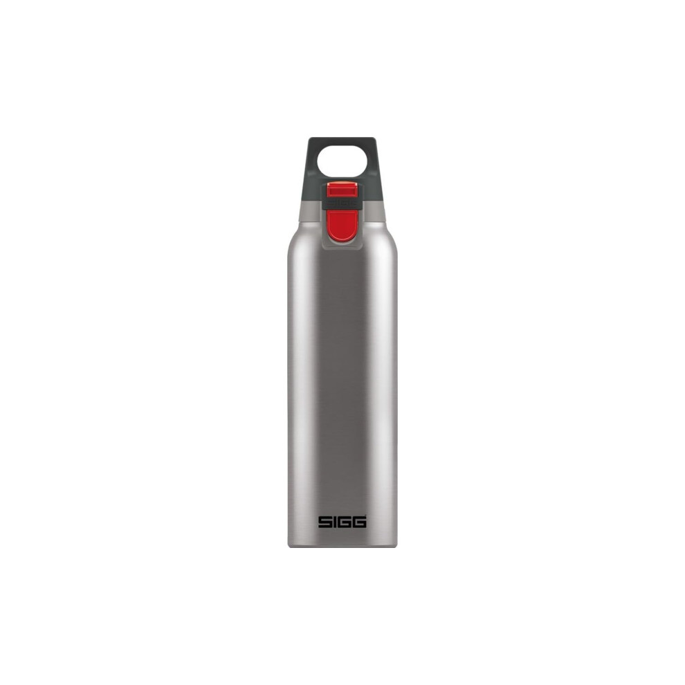 Sigg - Insulated Water Bottle - Thermo Flask Hot & Cold One - With Tea Filter - Leakproof - Bpa Free - 18/8 Stainless Steel - 0.5L
