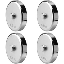 4 Pieces 4kg Weight Plates for 25kg Steel Dumbbells (4?4kg)