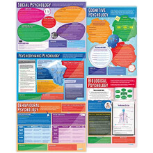 Daydream Education Psychological Approaches Classroom Posters - Set of 5 - EXTRA LARGE - A1 (850mm x 594mm) - Gloss Paper - Psychology Secondary