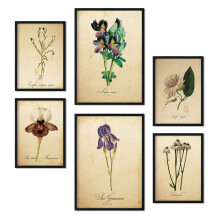 Nacnic Set of 6 Vintage flower posters. Collection of plates with aesthetic collage for interior decoration. Sizes A3 and A4. With black frame.