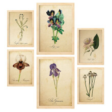 Nacnic Set of 6 Vintage flower posters. Collection of plates with aesthetic collage for interior decoration. Sizes A3 and A4. With wooden frame.