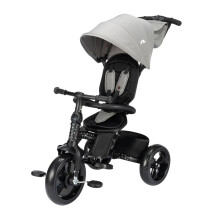 Bebeconfort Windy, Baby Trike with Parent Handle, 10 Months - 4 Years, 0-25 Kg, Adjustable to Child, Comfortable and Reversible Seat, Protective