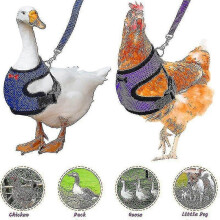 (As show, One size) Adjustable Chicken Harness Leash Comfortable And Breathable Small Size Hen Pet Vest For Chicken Duck Goose Training Walking -_Gift Of G
