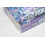 Pokemon Card Violet ex booster scarlet 2