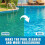(3pcs)swimming pool effervescent tablets landscape water spa pool hot spring pool clean water effervescent tablets deodorizing 170g 4