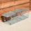 KCT (2 Pack) KCT Humane No Kill Squirrel Traps 3
