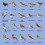 British Birds Greetings Card (150x150 Blank) 2