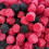 HARIBO Berries Gummy Candy 5 x 80g 10