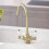 NES Home Nes Home Twin Lever Brass Kitchen Sink Mixer Mono Tap Solid Brushed Brass 2