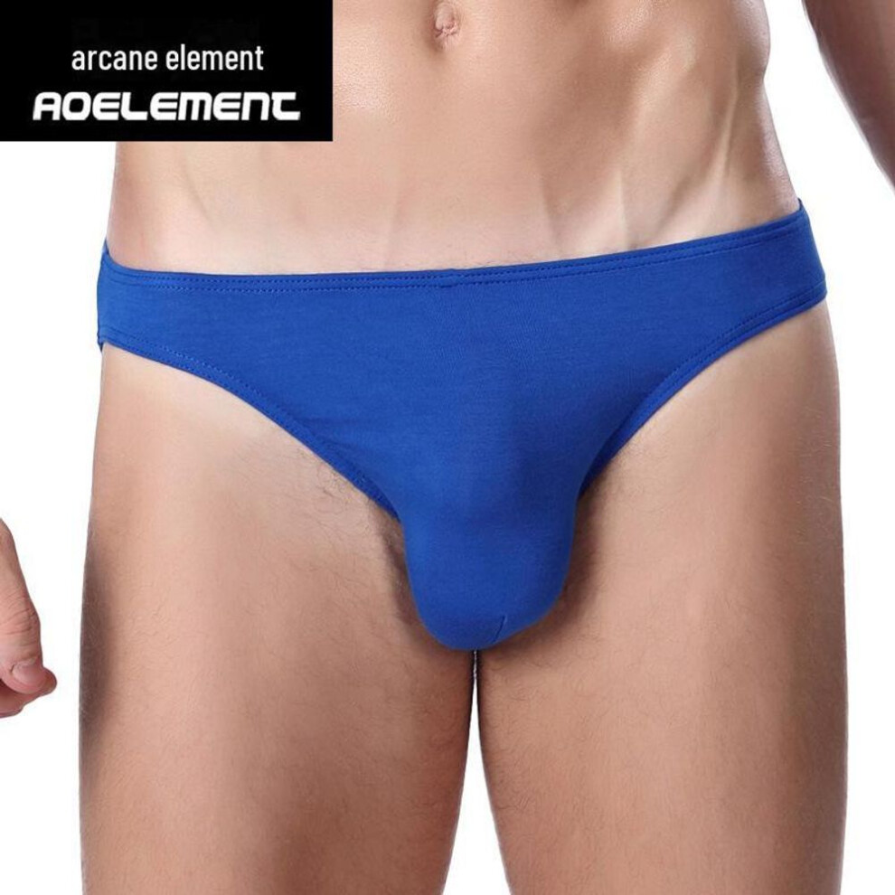 (Large, blue) Men's Low-Waist Sexy Slim Fit Briefs