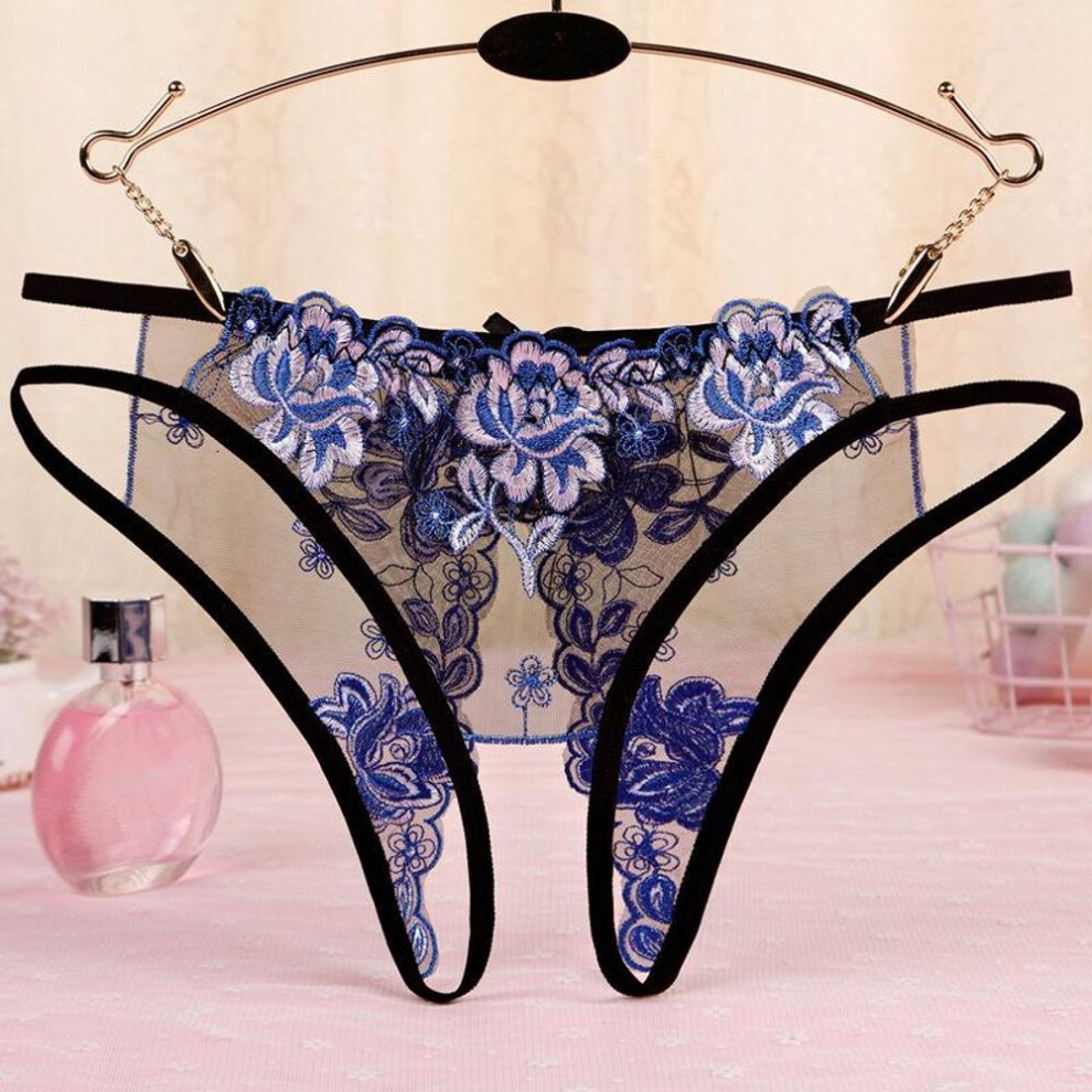 (blue, One Size) Exquisite Embroidered Mesh Open-crotch Underwear For Girls & Women 255