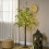 Homcom HOMCOM 180cm Olive Tree Light w/ 300 Warm White LED Lights Artificial Tree 1