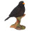 Vivid Arts Garden Birds (Blackbird) 1