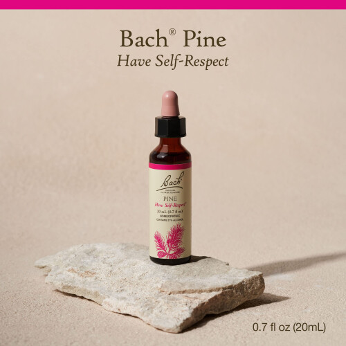 Bach Original Blüten-Essenzen, Kiefer 1