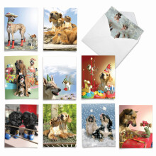 The Best Card Company - 10 Tarjetas en Blanco de Perros para Todas las Ocasiones (4 x 5.12 Pulgadas)