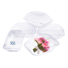 Royal Imports Clear Plastic Flower Box til Corsage Boutonniere Rose Orchid Prom Wedding Craft Container 9x5x4-100 Pack