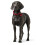 Hunter Collar Aalborg, 47 Soft genuine cow leather, black 7