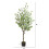4.5 Eucalyptus kunstigt tr? 2