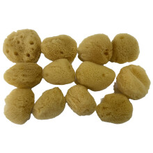 Soft Natural 12 Silk Sponges 1.5"" Cosmetic Makeup Application Removal Face Eye Nail Cleaning Like Cotton Balls Awesome Aquatic Creating The Perfect B