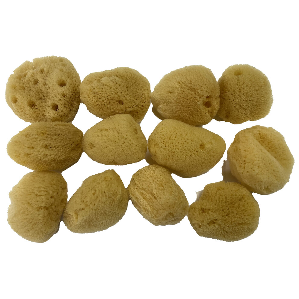12 Spugne Morbide In Seta Naturale Da 1,5"""" Per Applicazione E Rimozione Del Trucco Cosmetico, Viso, Occhi E Unghie, Come Batuffoli Di Cotone, Fa-image