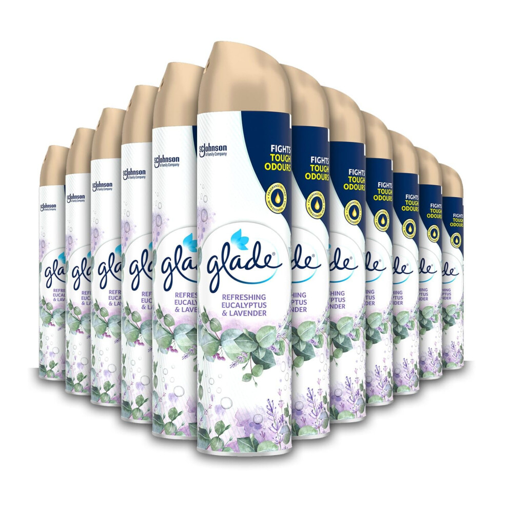 Air Freshener, Aerosol Room Spray, Eucalyptus & Lavender, Pack of 12 (12 x 300ml)