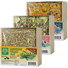 Forage Tray Bundle, 3 Pack of Foraging Trays for Rabbit, Guinea Pig, Hamster or Bunny - Natural Treats, Dandelion, Flower, Herb Mix 2.5oz Each