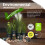 Oil Plus 2C Pure Set 6