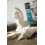 Plaster leve 1kg PEBEO 6