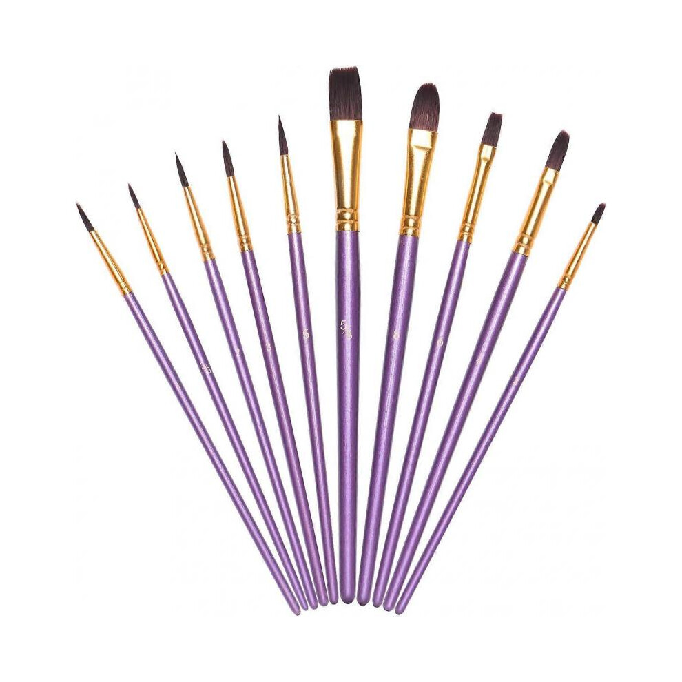 10Pcs Painting Brushes, Professional Painting Brushes Set Nylon Hair Artist Painters Brushes for Oil Watercolor Gouache
