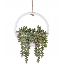 1pc Artificial Succulent Hanging Plants 12.2 inch Fake Pearl Necklace in Pot with 8.3 inch Lanyard for Indoor Outdoor Wall Decor.