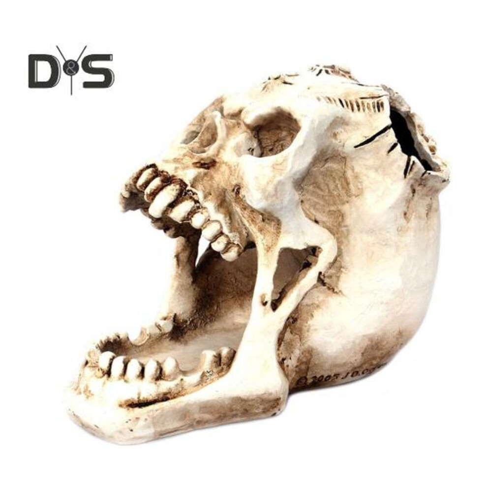 White Skull Pen Holder Desktop Decoration Realistic Looking Cosmetics Keys Stationery Holder Skeleton Head Halloween Decoration