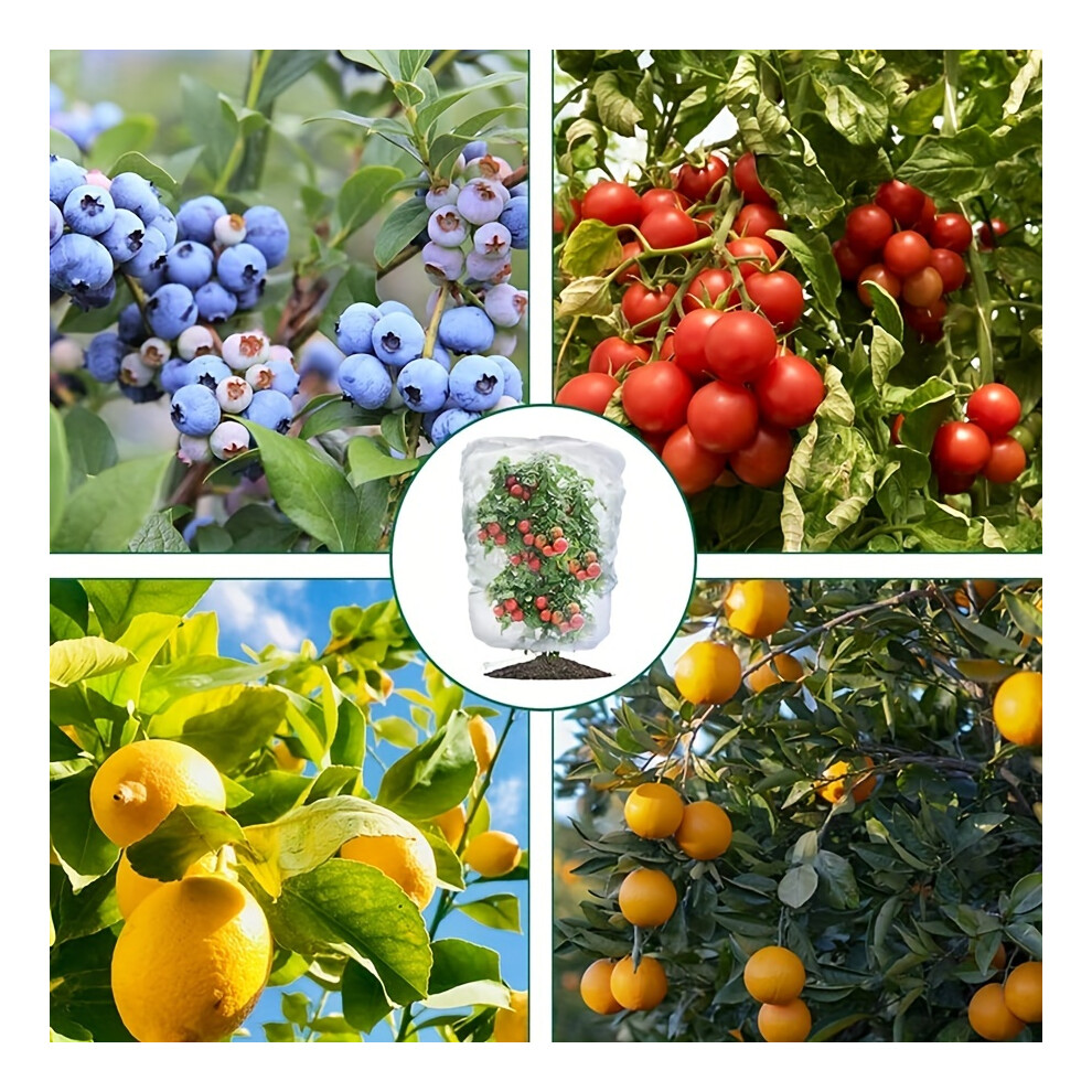 2Pcs Garden Netting, Bird Netting for Blueberries, Plant Covers, Fruits, Berries, Trees, Tomatoes, Insects, Squirrels, Animals, Fruit Protection Bags-image-OPC-PH8Q8SH-NEW