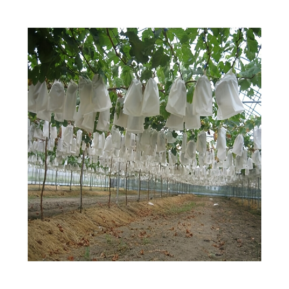 100pcs, Mesh Bags for Fruit Sets, Insect-Proof, Rain-Proof and Breathable, Protect Your Fruit, Plant Climbing Net, 20 x 30cm-image-OPC-PH8Q8SP-NEW