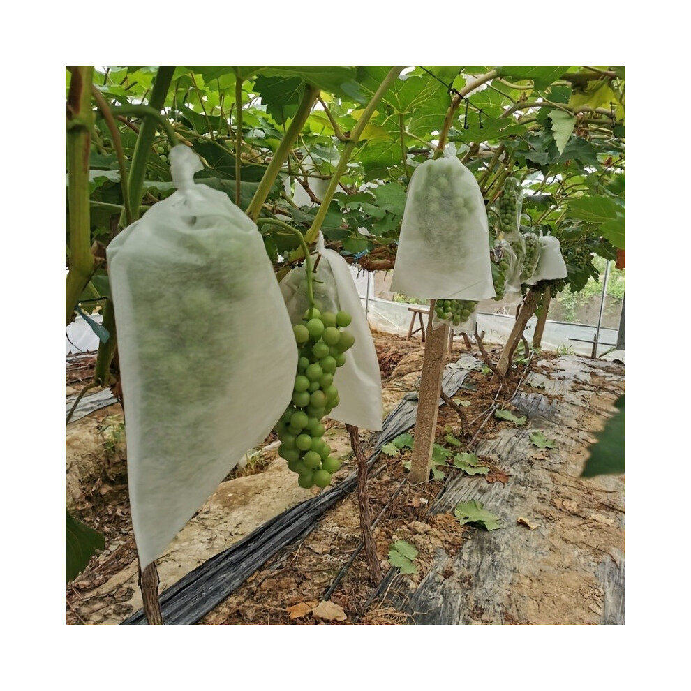 100pcs Multi-Purpose White Mesh Bags Insect-Proof Rain-Proof Breathable Fruit Protector with Climbing Rack-image-OPC-PH8Q8T5-NEW