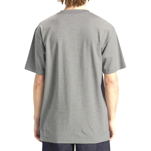 T-shirt manches courtes DC Shoes Star, gris 2