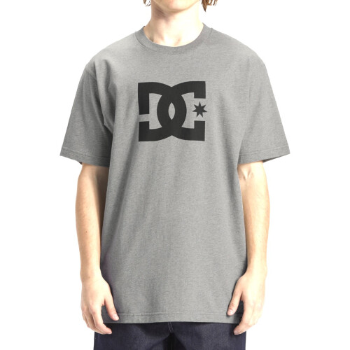 T-shirt manches courtes DC Shoes Star, gris