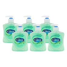 Aloe Vera Handwash 250ml case of 6 by Carex Health Brands