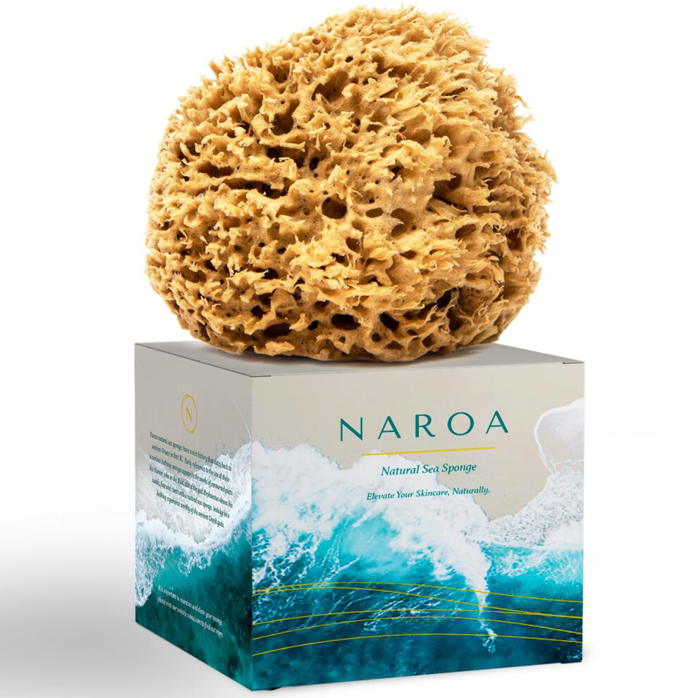 Photos - Bath Sponge Natural Soft Honeycomb Sea Sponges for Shower in Gift Box | Gentle Sea Loofah for Healthy Skin | Smooth Body Puff Relaxing B