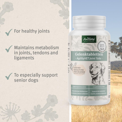 ANIFORTE Agility VET Joint - supplements for dogs - 120 tablets 2