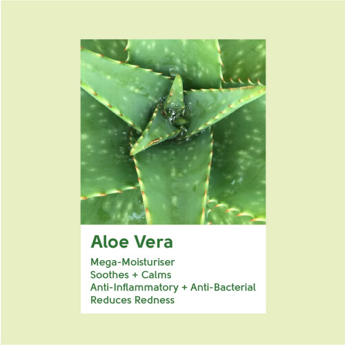 Hydrating Day Cream | Aloe Vera | 50ml 2