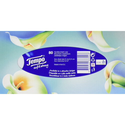 Soft and Strong Regular Tissues (Pack of 6, Total 480), 2849537 1