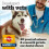 Pedigree PEDIGREE Dentastix per cane 110g (10) 13