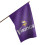 foco NFL Solid Vertical Vlag 1