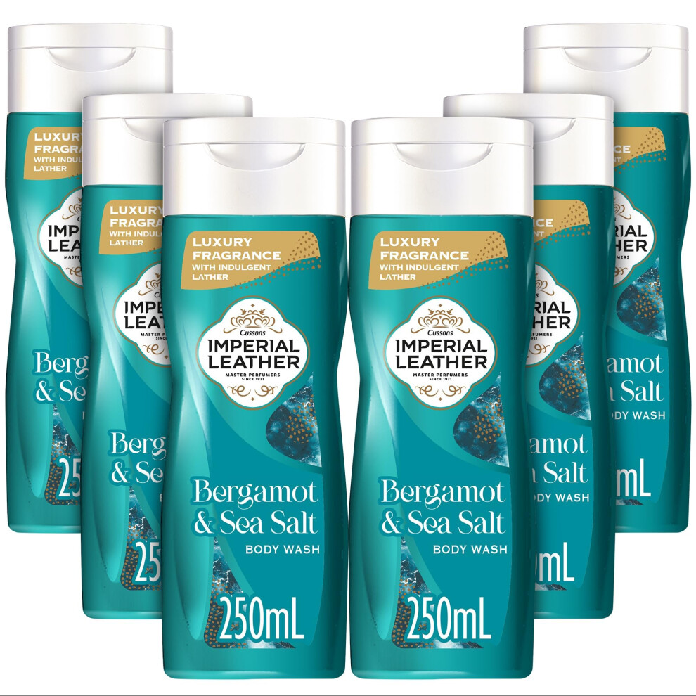 Bergamot & Sea Salt Body Wash Shower Gel, Signature Oil Blend, Creamy Indulgent Lather, Luxury Fragrance, Bulk Buy, Pack of 6x250ml