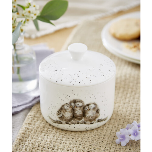 Wrendale 9.5cm Lidded Storage Jar Small (Owl) 1