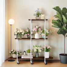 3 Tiered Plant Shelf Indoor Flower Stand on Wheels Corner Shelf