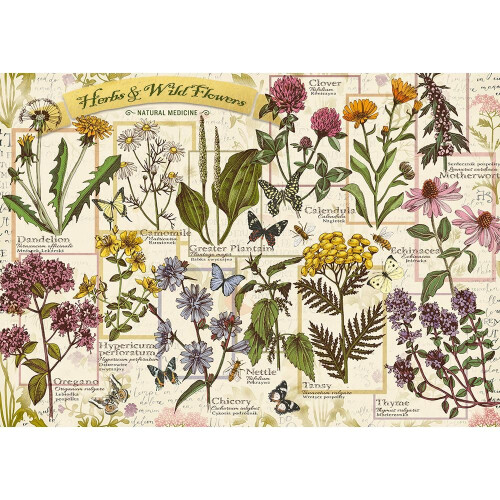 Puzzle 500 Herbarium: Lääkekasvit TREFL 1